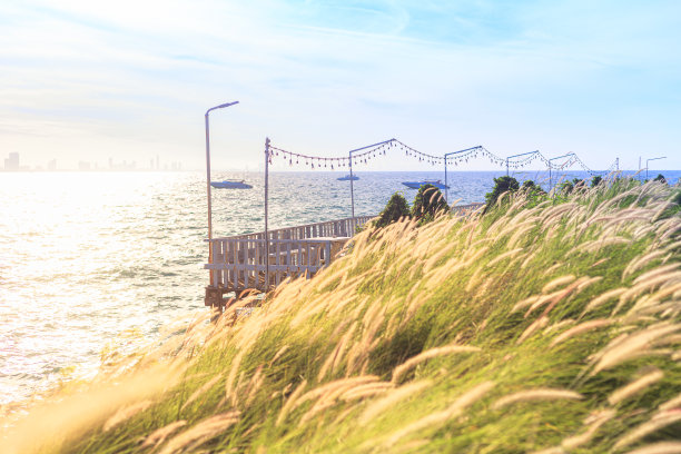 明亮的草地伴着海边的晨光，花园装饰着海边的餐厅图片下载
