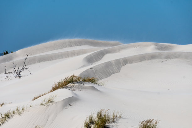 白色的沙丘图片下载