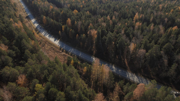 乌拉尔秋天的森林和道路上有交通车辆图片下载