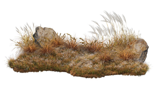 白底石雕花园装饰图片下载