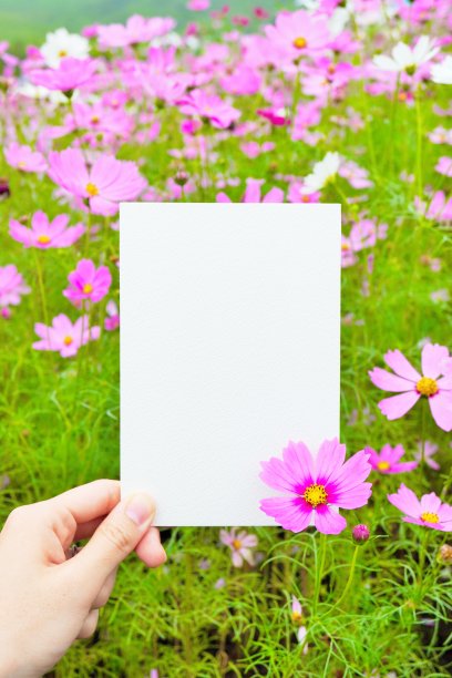 可爱的评论空间模型，以宇宙为背景的桃花田，垂直的图片下载