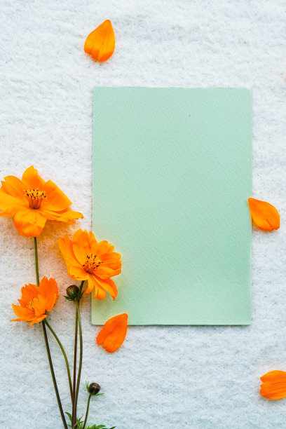 评论空间模型装饰与橙色的宇宙花朵在柔软的白色背景，可爱的秋天形象垂直图片下载