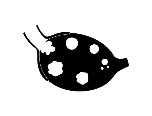 卵巢解剖海报图片下载