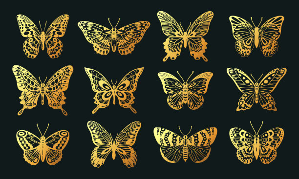卡通金色蝴蝶，剪出飞虫，可爱的蝴蝶。热带黄金昆虫剪影，美丽的彩色飞蛾平面矢量插图集。金色的蝴蝶收集图片下载