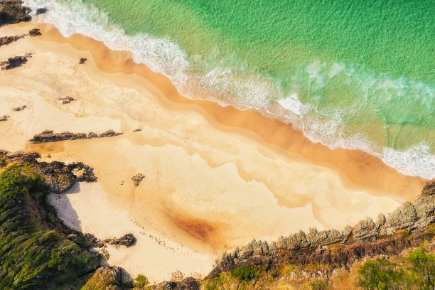 D福斯特沙伯吉斯自上而下图片下载