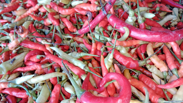 印度尼西亚:东爪哇，辣椒图片下载