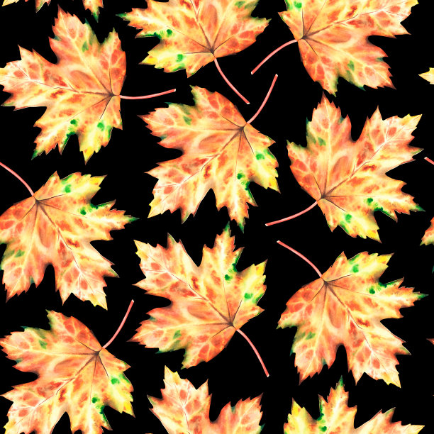 秋叶无缝图案。水彩的插图。孤立在黑色背景上。图片下载