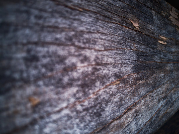 树皮木材的纹理用作自然背景图片下载