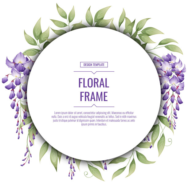 花框与紫色紫藤方图片下载