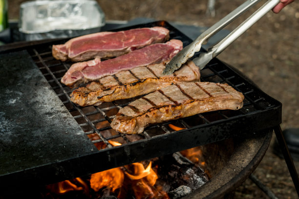 营火上的铸铁烤架上烤着牛排。篝火做饭。户外烧烤图片下载