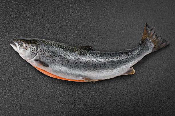 新鲜的生鲑鱼，黑石底色的红鱼。创意布局做成鱼，俯视图。生鲑鱼尸体。海鱼，健康食品图片下载