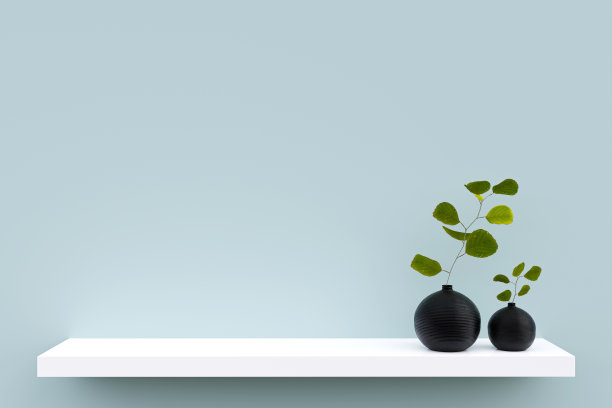 室内花盆的白色展示架的3d渲染图。图片下载