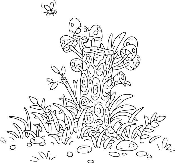 森林里有蘑菇的老树桩图片下载