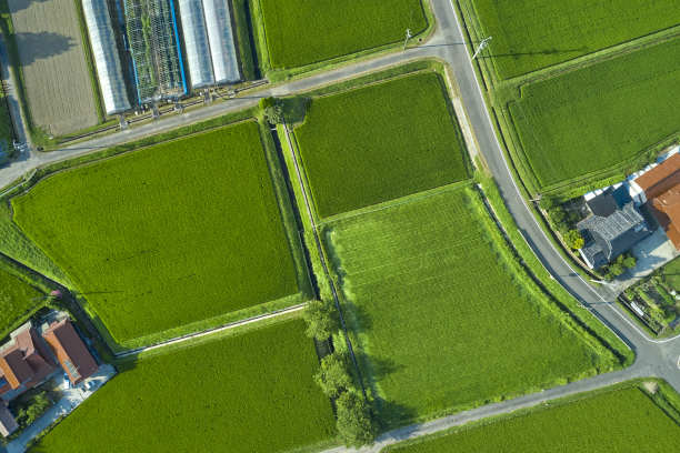 从空中看到的稻田图片下载