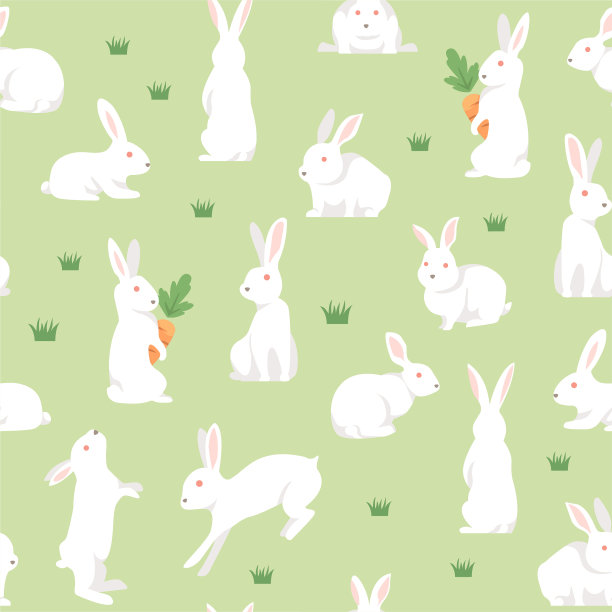 兔子在草地上纹丝不动图片下载