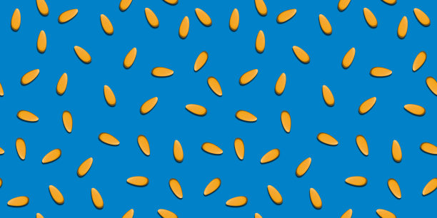 蓝底瓜子图案图片下载