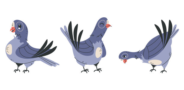 鸽子鸟性格动物喙具有不同的情绪和行动孤立集集概念。矢量图形设计元素插图图片下载
