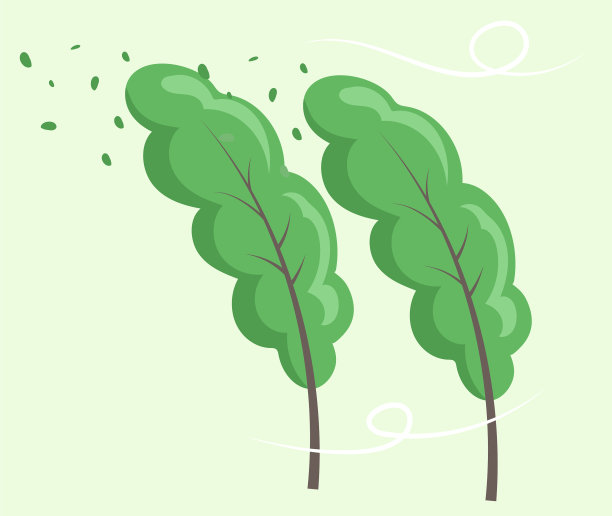 树木高大翠绿，树冠郁郁葱葱，树干棕色细图片下载