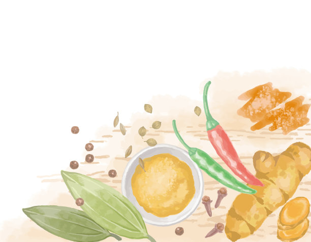 咖喱的水彩香料。矢量插图。图片下载