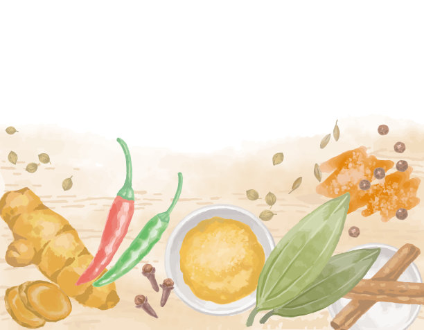咖喱的水彩香料。矢量插图。图片下载