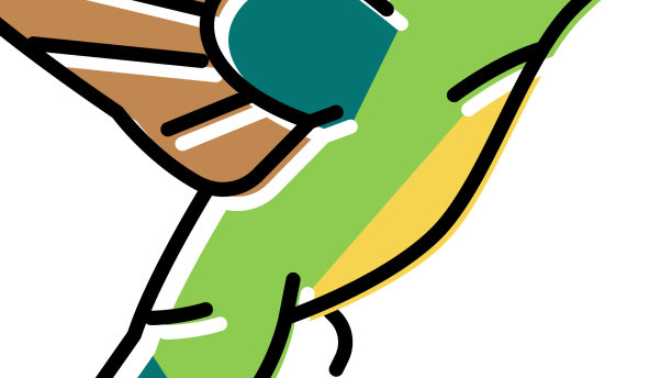 大鲵鸟的颜色图标图片下载