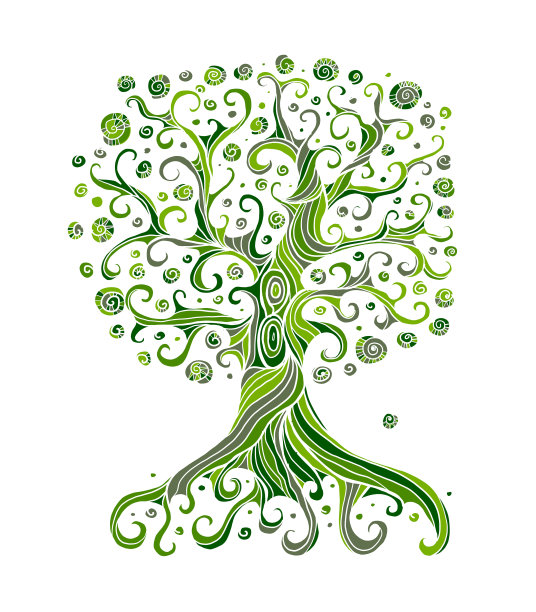 古老的大家族树与根孤立在白色图片下载