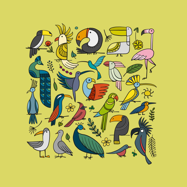 收藏粉红色天堂热带鸟类图片下载