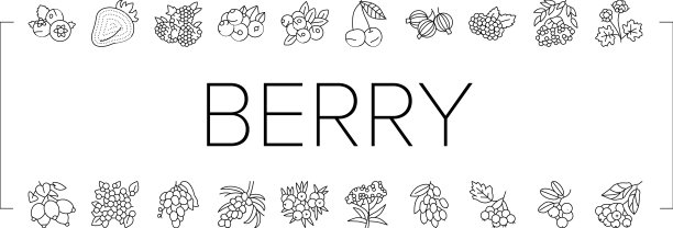 浆果美味和维他命食品图标集图片下载