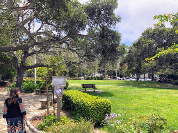 一个年轻的女人与美丽的风树背后，她探索的沿海小镇卡梅尔靠海，美国加州图片下载