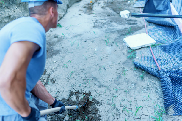之后我还要再挖几个洞图片下载