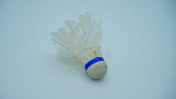 羽毛球梭子图像白色背景图片下载