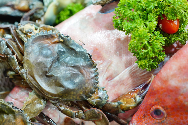 出售软壳蟹图片下载