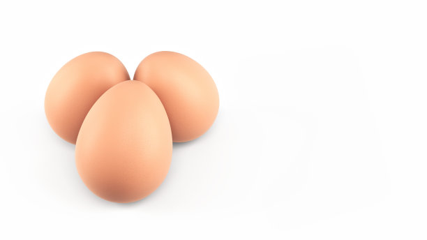 鸡蛋棕剪路径图片下载