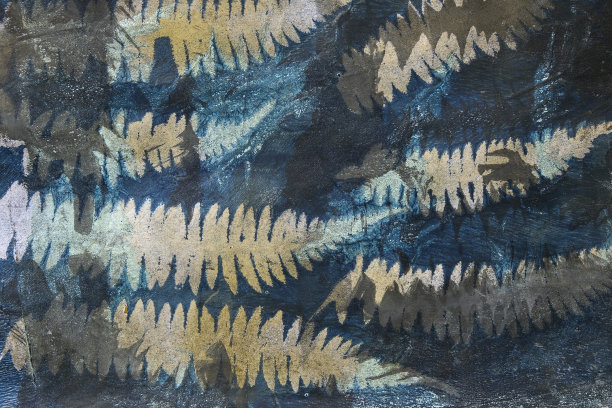 抽象的蕨类植物树叶图片下载