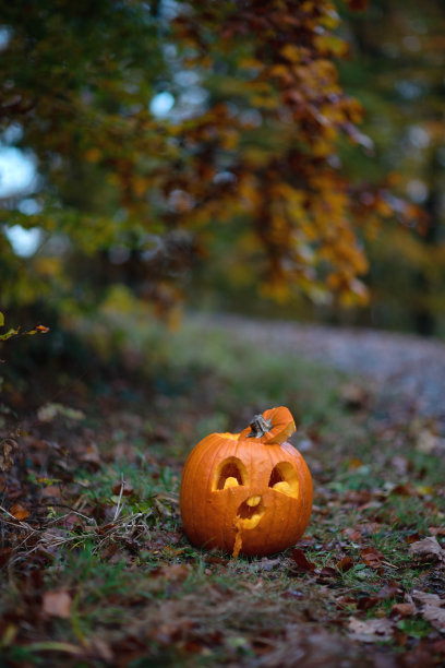 雕刻万圣节南瓜垂直照片图片下载