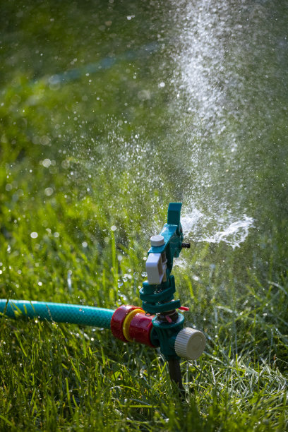 洒水车在夏天浇草图片下载