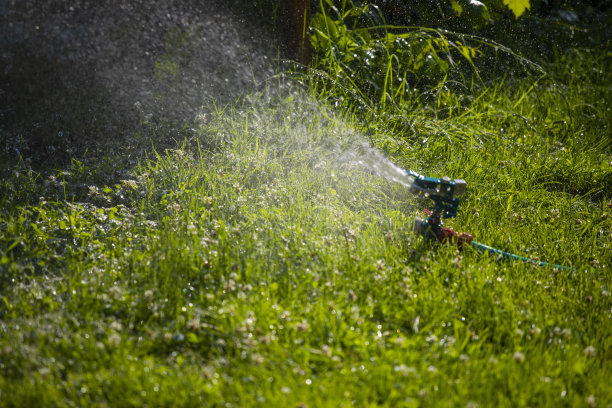 洒水车在夏天浇草图片下载