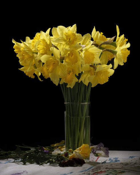 孤挺花科水仙花在花瓶中而低调。图片下载