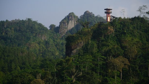 山上长满了树木，茂密的森林上建有一座塔图片下载