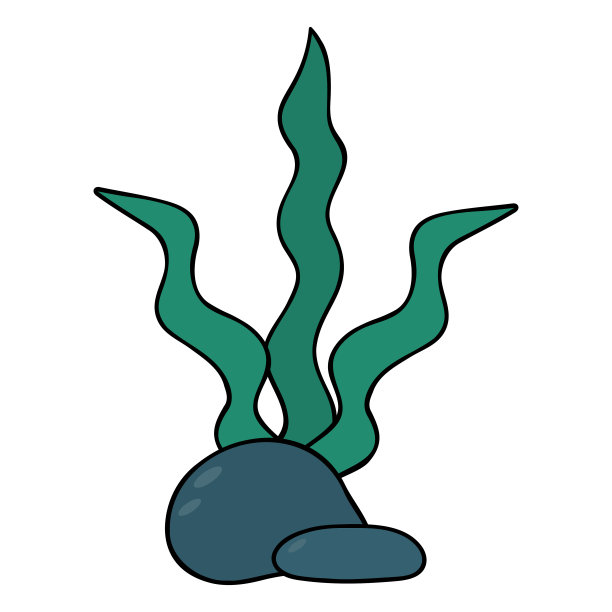 绿藻在鹅卵石后面。水下植物生长在海底。海带。颜色向量插图。水族装饰。孤立的背景。卡通风格。图片下载