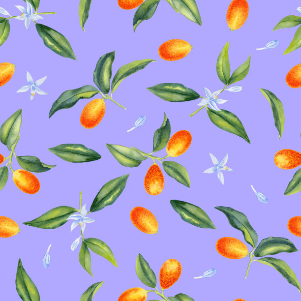 金桔枝头配花水彩无缝图案。柑橘和柑橘的果实，留下无尽的背景。热带树木手绘装饰品。用于纺织品和包装纸。图片下载