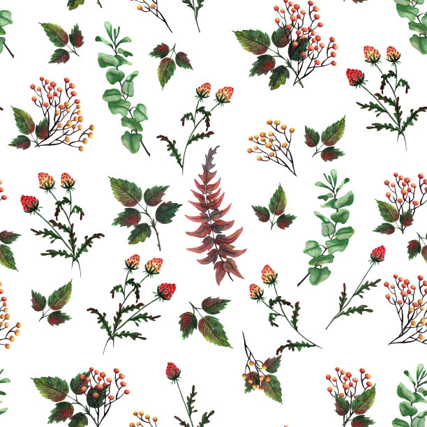 红黄玫瑰。水彩画。剪贴画图片下载