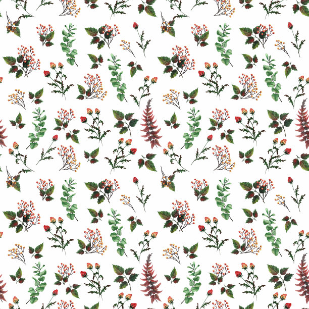 红黄玫瑰。水彩画。剪贴画图片下载