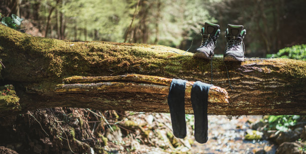 在温暖的秋日阳光下，一双高筒靴和湿袜子在倒下的森林小溪树上晾干。积极的人在自然的概念形象。图片下载