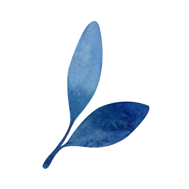 简单的水彩蓝色叶子剪贴画在白色背景。图片下载