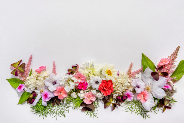 欢迎花卉卡与各种鲜艳的花朵。邀请设计与夏天的花朵。模板婚礼，生日和复活节。花框架在白色背景图片下载