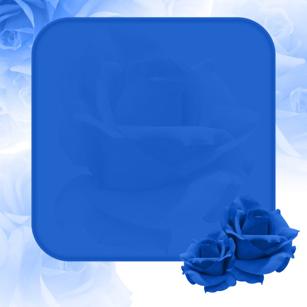 两朵蓝色的玫瑰花被放置在底部的一个蓝色的方块上，在白色的背景上模糊蓝色的玫瑰花，自然，爱情，情人节，拷贝空间图片下载