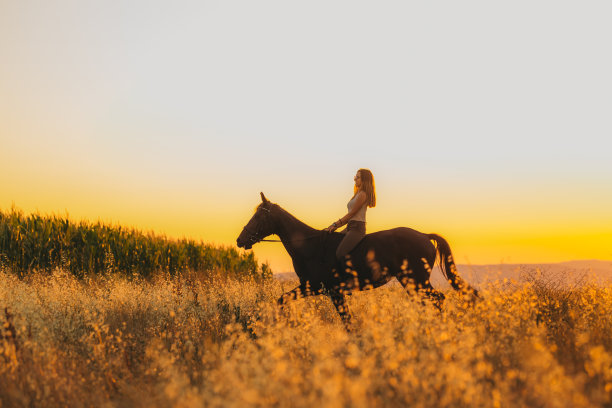 年轻女子在夕阳下的牧场骑马。图片下载
