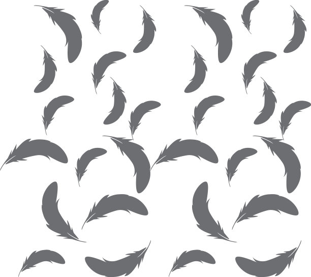 羽毛的标志图片下载