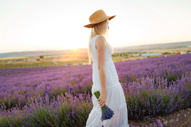 一个女人穿着裙子，戴着帽子站在薰衣草地里的背影图片下载